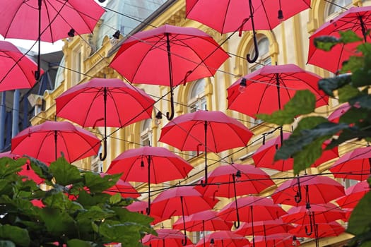 Many open red umberlla overhead street decor