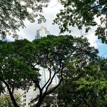Travel image of tropical trees and office buildings in downtown Bangkok, Thailand