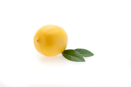 Bright fresh lemon with two green leaves with shadow on white background.