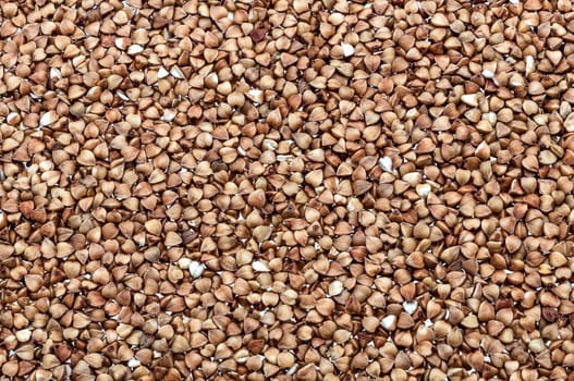 Background of buckwheat groats on the entire field of the image.