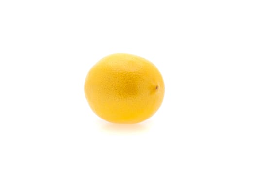 Creative layout made of one lemon. Food concept. Lemon on white background.