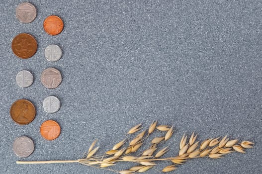 Coins of the Great Britain and an ear of barley on a background of granite.
