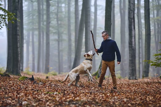 Young man playing with dog (labrador retriever) in foggy autumn forest.