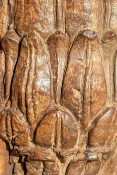 Close-up of old wooden texture background. Closeup of a detail from an old indian temple door with the original carving in local colors. Solid wood.
