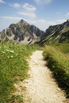 Mountain trail in the Tyrolean Alps