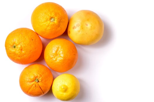 Group of Organic Oranges and lemon, close up and isolated