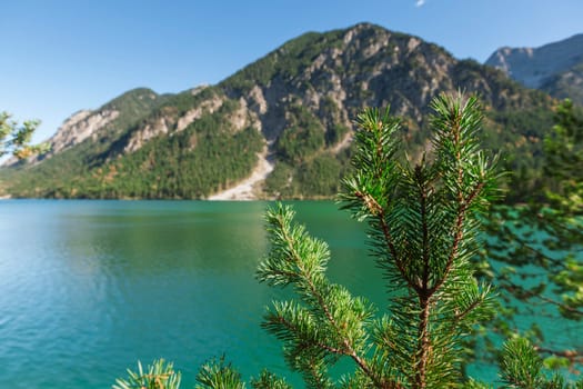 Landscape view of the lake in Austria from the south shore in summer 2017. Focus on the fir branches in the foreground.