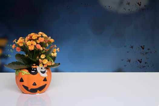 Table top on Halloween background. Bright table with flowers in a yellow porcelan pumpkin in front of dark blue abstract halloween background. Template for your product display montage. Space.