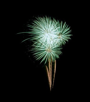 Green exploded fireworks display, isolated on black background