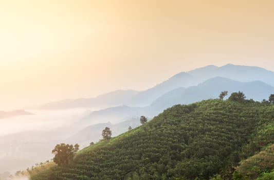 Stunning aerial view of sunrise with sea of fog above Mekong river at mountain viewpoint in Nong Khai Province, Thailand