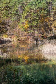 Goshiki-numa Five Colour Pond in Autumn, Urabandai, Fukushima, Japan