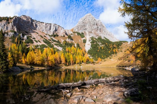 Colorful autumn morning in the mountains. Colourful autumn morning in mountain lake. Colorful autumn landscape. Lake of Borfaglia, Friuli, Italy.