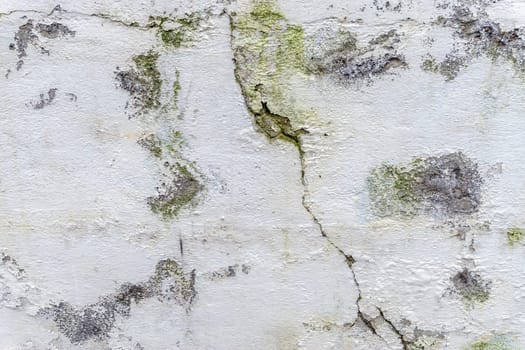weathered white plaster in detail as background