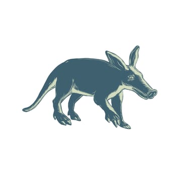 Scratchboard style illustration of an aardvark, a medium-sized, burrowing, nocturnal mammal that is an insectivore with a long pig-like snout done on scraperboard on isolated background.