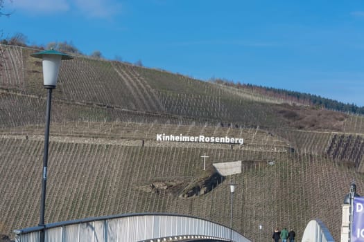 KINNHEIMER ROSENBERG, GERMANY - MARCH 26, 2016: View of the vineyards of Kinheimer Rosenberg from a pleasure boat trip on the Mosel River, Germany