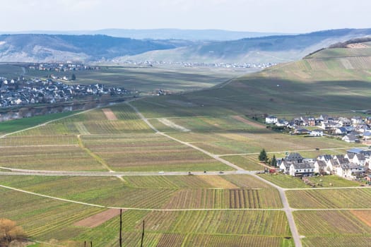 MOSELTAL, GERMANY - MARCH 26, 2016:.Panoramic view over the Moselle valley in the background the vineyards and the River Moselle.