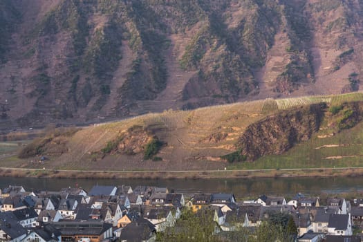 MOSELTAL, GERMANY - MARCH 26, 2016:.Panoramic view over the Moselle valley in the background the vineyards and the River Moselle.