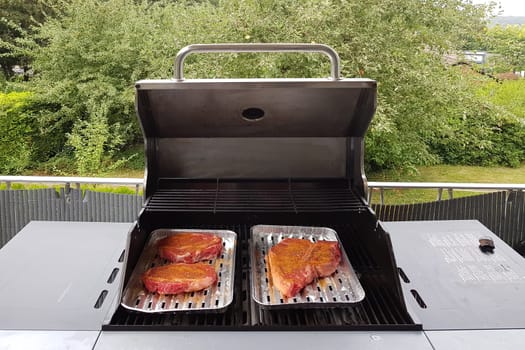 Delicious meat dish on the grill. In the background green trees