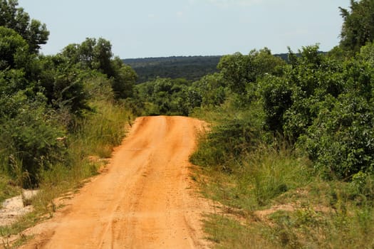 A road disappears down into the jungle in Africa.