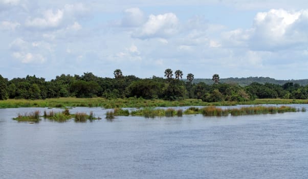 Looking out across the river Nile in Murchison Falls National Park, Uganda.