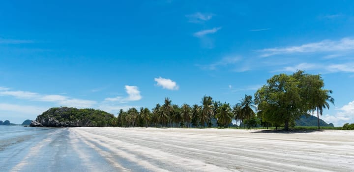 Green tree rock or stone mountain or hill and coconut tree at Sam Phraya Beach Prachuap Khiri Khan Thailand. Landscape or scenery in natural for summer .concept