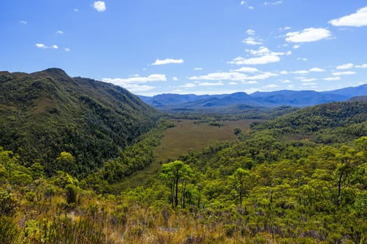 Donaghys Hill walk in Franklin-Gordon Wild Rivers National Park on a hot summer's day in Tasmania, Australia