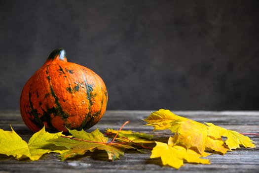fall-still life with pumpkin and yellow maple leaves on wooden ground