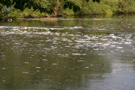 Dirty water with foam on the water surface