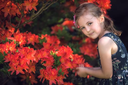 Cute little caucasian girl smelling blossoming red flowers in spring in a park