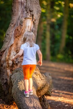 Young Caucasian girl walking on a large tree trunk in a forest