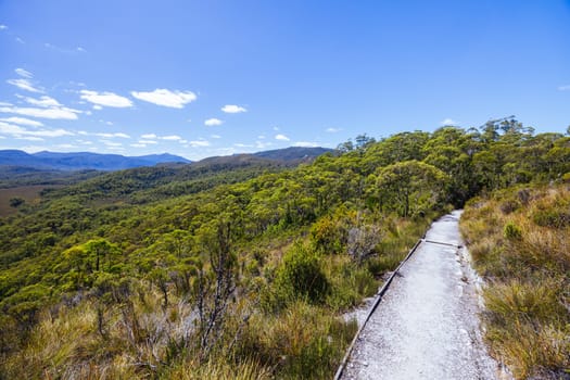 Donaghys Hill walk in Franklin-Gordon Wild Rivers National Park on a hot summer's day in Tasmania, Australia