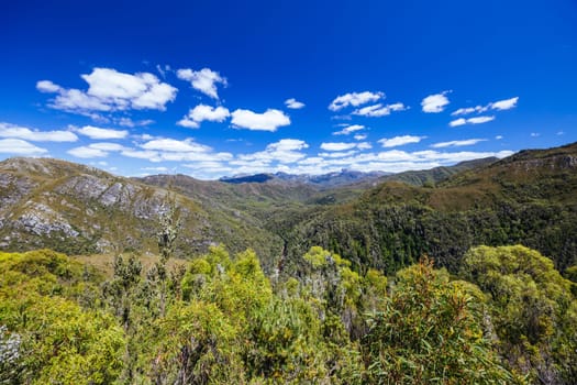 Donaghys Hill walk with Frenchmans Cap in the distance in Franklin-Gordon Wild Rivers National Park on a hot summer's day in Tasmania, Australia