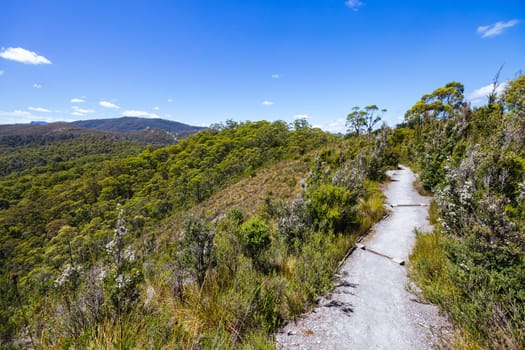 Donaghys Hill walk in Franklin-Gordon Wild Rivers National Park on a hot summer's day in Tasmania, Australia