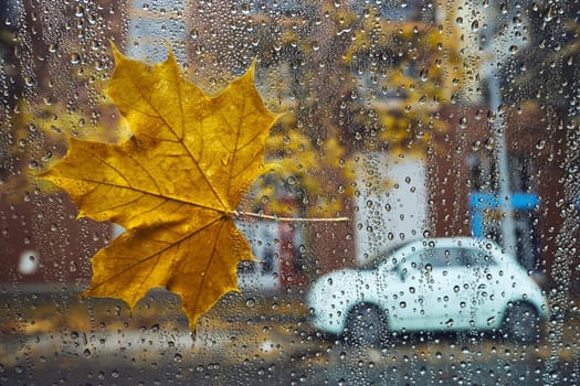Autumn in the city. Fallen maple leaf and raindrops on a window of car against street.