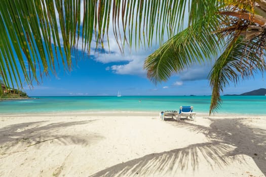 Tropical beach