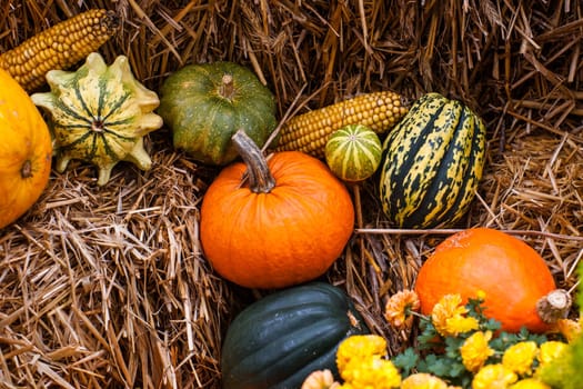 Pumpkins at a autumn ornament