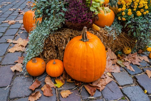 Pumpkins at a autumn ornament