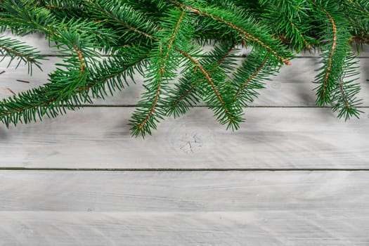 Pine tree on a bright wooden background
