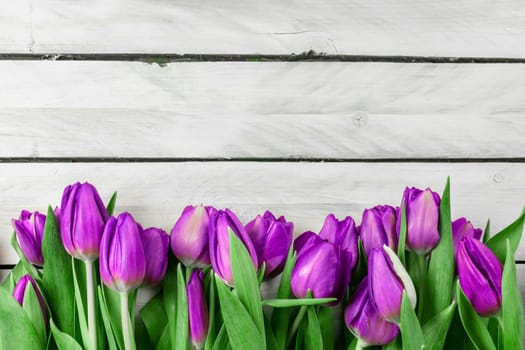 Wooden background with tulip flowers