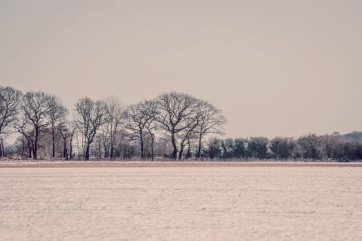 Landscape with trees at wintertime