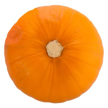 Pumpkin from above isolated
