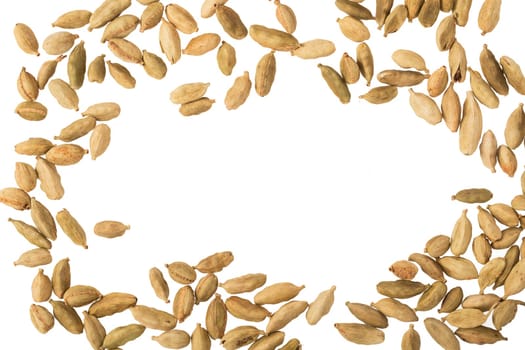 Cardamom seeds isolated on white with copy space in center of frame