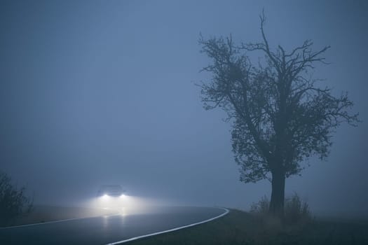 Car approaching in thick fog. Gloomy weather on the road. - selective focus on the tree