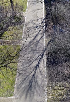 Green area in winter in the aerial view