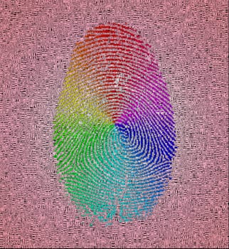 Rainbow fingerprint. Image composed entirely of words