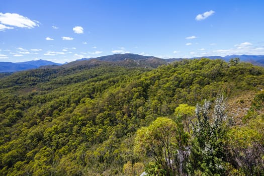 Donaghys Hill walk in Franklin-Gordon Wild Rivers National Park on a hot summer's day in Tasmania, Australia