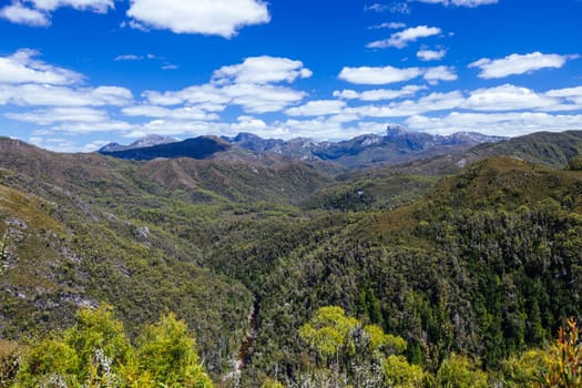 Donaghys Hill walk with Frenchmans Cap in the distance in Franklin-Gordon Wild Rivers National Park on a hot summer's day in Tasmania, Australia