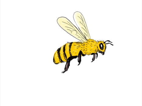 Illustration graphics showing a drawing of a bee, bumblebee or honeybee flying from side to side on white background.
