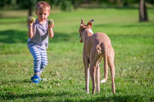 Portrait of a young caucasian boy standing in a park and holding small tennis balls to be thrown for a dog to chase
