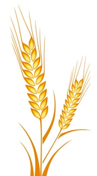 wheat agriculture crop bread yellow cereal illustration